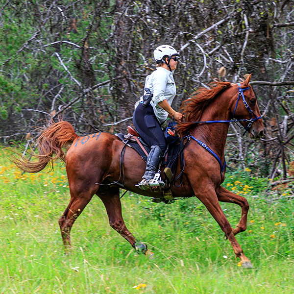 600-Sand-Canyon-Endurance-Ride_Chewelah-WA_2022-08-20_3338