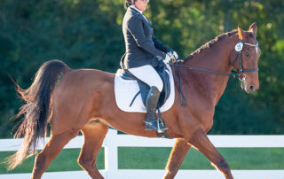 Rebecca Stewart riding a dressage Saddlebred