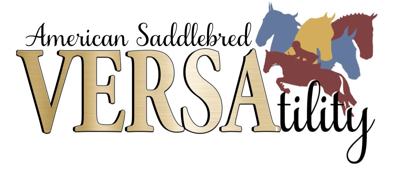 American Saddlebred Versatility